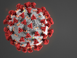 image of coronavirus