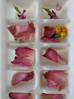 frozen flowers step 1