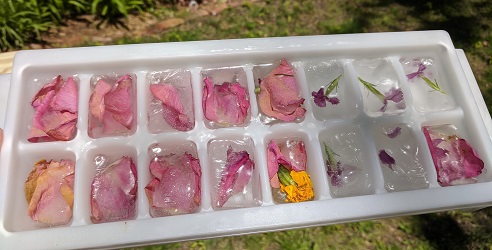 frozen flowers step 2