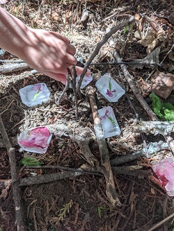 frozen flowers for fairy houses