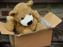 photo of a teddy bear in a box