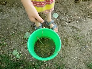 child collecting water for water filtration experiment