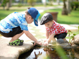 children playing in a stream