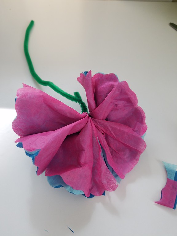 photo of final steps for tissue paper flowers craft