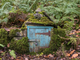 photo of a fairy house