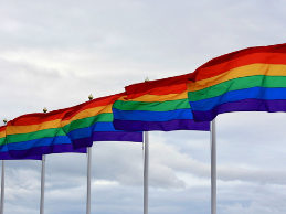 photo of a row of Pride flags