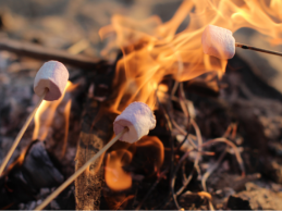 photo of marshmallows over a campfire