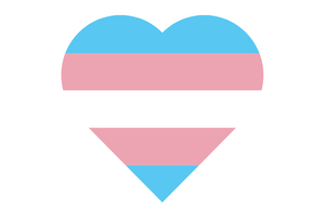 image of a heart shaped transgender flag