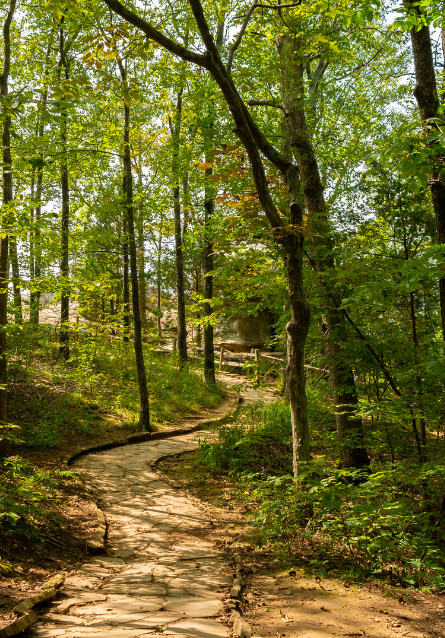 Hiking Kit